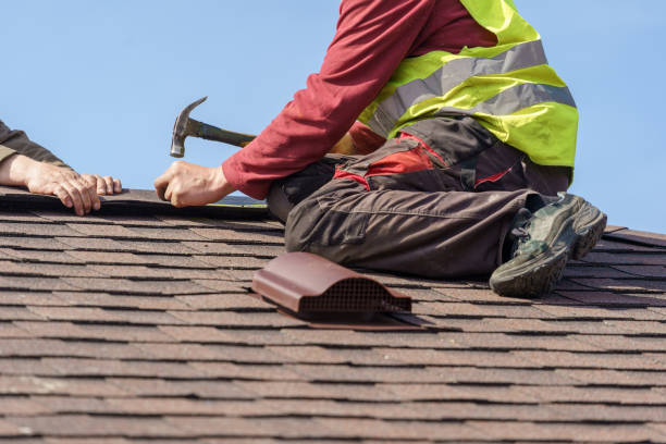 Best Roof Gutter Cleaning  in Roman Forest, TX