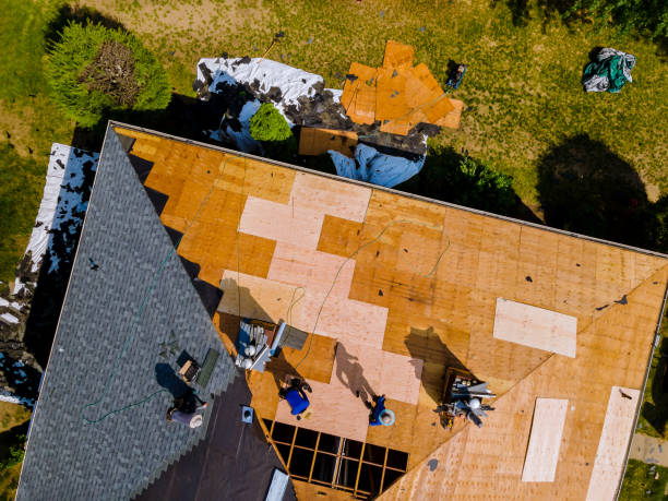 Best Metal Roofing Contractor  in Roman Forest, TX