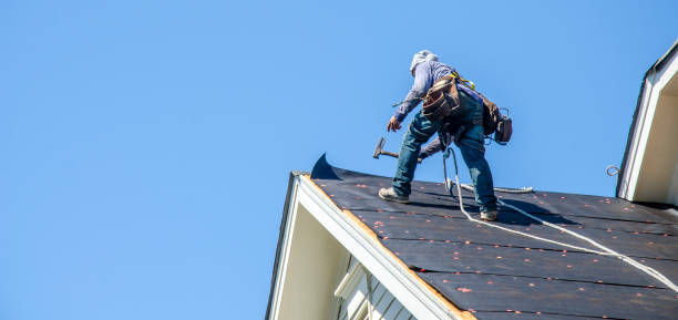 Best Emergency Roof Repair  in Roman Forest, TX