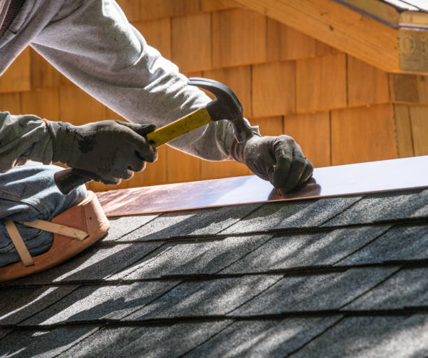 Best Gutter Installation and Roofing  in Roman Forest, TX